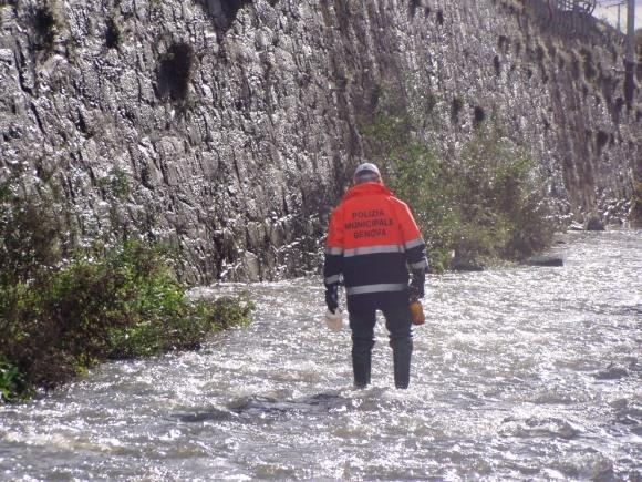 Corpo Polizia Locale Settore Reparti Operativi Reparto Ambiente Ufficio Ambiente e Demanio Svolge funzioni di vigilanza in materia di inquinamento