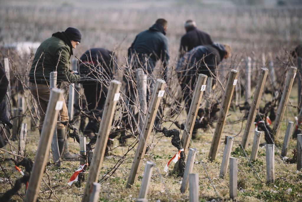 9 Marzo 2019 Vigneti Le Brede Villa Lechi - Erbusco Una giornata di festa dedicata al saper fare in vigna aperta a tutti.