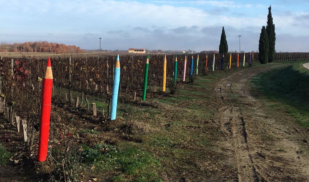 mentre ai più piccini sarà riservato un angolo del vigneto con le teste dei filari contrassegnati