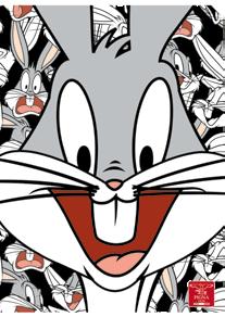 WARNER BROS LOONEY TUNES