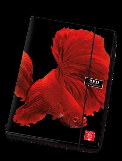 RED SHIVER Anni 6-99 RED SHIVER 7 CARTELLA 3 LEMBI DORSO 1,2 3 Flap file