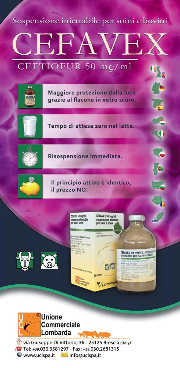 III settembre e novembre; le vacche che esibiscono una ritenzione placentare hanno un OR di ben 6,2 di contrarre una metrite, mentre la chetosi aumenta l OR a 4,5 per la dislocazione dell abomaso.