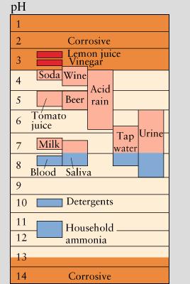 Il ph di alcune classi di composti Coca cola vino Passata