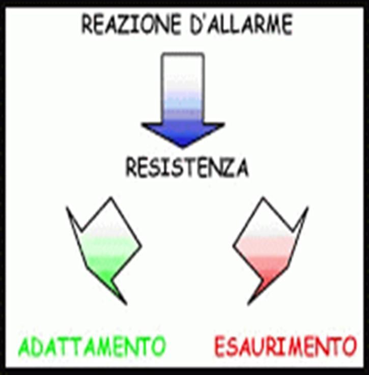 Lo STRESS PROLUNGATO (CORTISOLO) riduce la funzionalità del SISTEMA IMMUNITARIO (NATURAL KILLER) Le ENDORFINE (OPPIOIDI ENDOGENI) favoriscono la funzione del SISTEMA IMMUNITARIO Un DEFICIT di NK