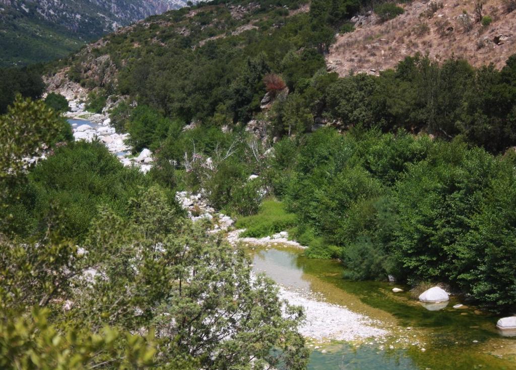 AMBIENTE DIREZIONE GENERALE DELL