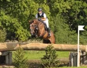 CAVALLO Federazione: Arti tare lesioni; Zoccoli tare lesioni; Mantelli colori ;Segni particolari balzane liste; Morfologia tipi.