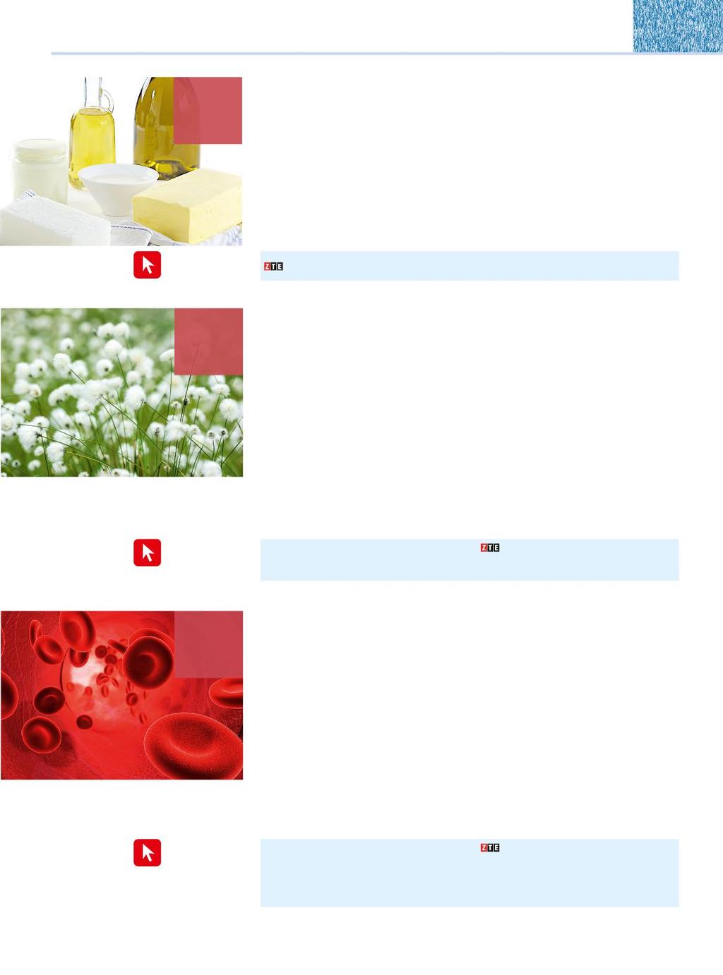 VII 13 Lipidi 13.1 Caratteristiche e classificazione dei lipidi 268 13.2 Lipidi saponificabili 269 13.3 Lipidi insaponificabili 279 13.