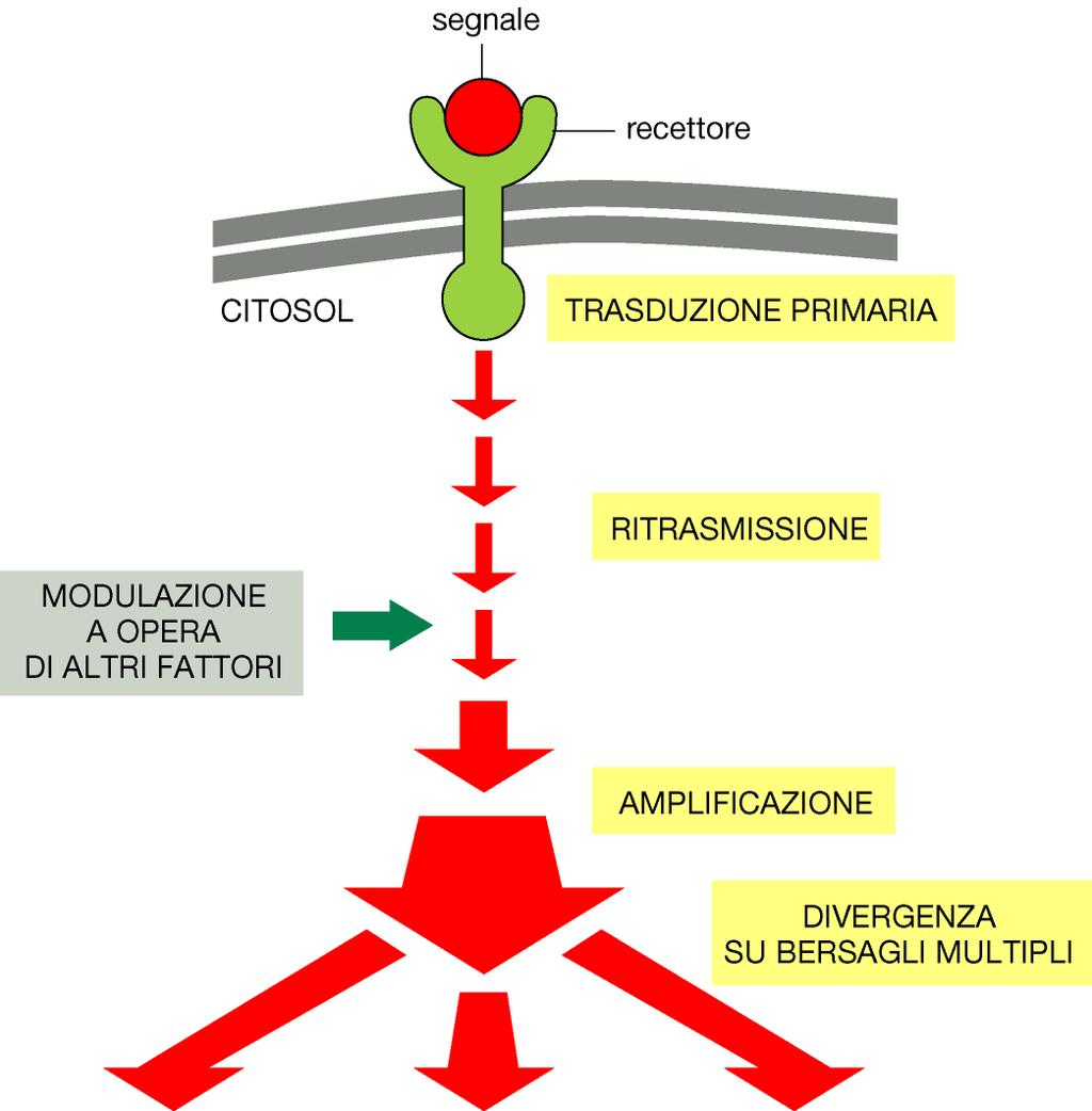 Sistemi di