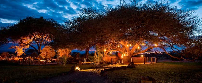 Il Tawi Lodge è situato in una conservancy privata di 6000 acri, a pochi passi dal Parco Nazionale di Amboseli.