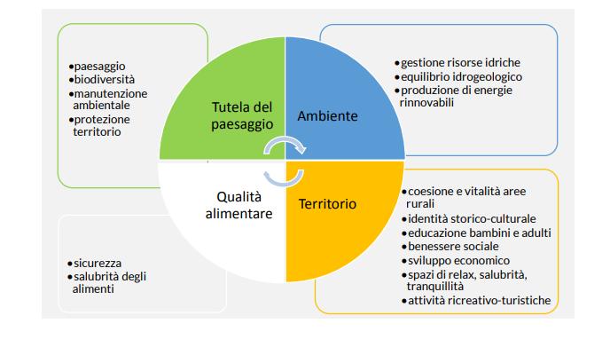 Le funzioni dell azienda agrituristica Fonte: