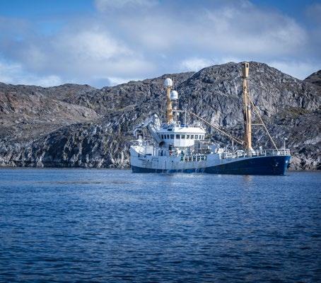 I pescatori locali posizionano le loro reti vicino agli speroni di roccia in modo che il merluzzo sia indirizzato verso le trappole dalle quali potrà difficilmente fuggire.