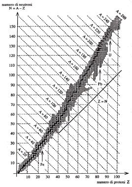 Stabilità I neutroni danno stabilità al nucleo A = N + Z garantita