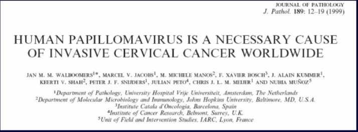 HPV : I TIPI RESPONSABILI DEL CARCINOMA DELLA CERVICE Prevalenza del 99.