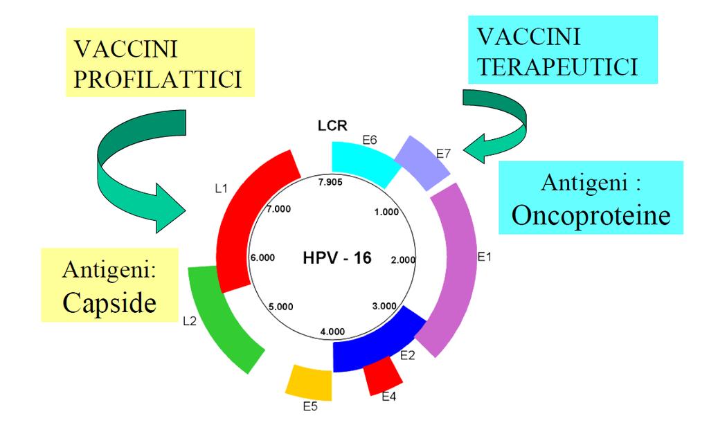 VACCINI.