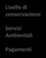 Problemi Soluzioni Mappatura e valutazione economica Analisi delle parti interessate Incontro con gli agricoltori Incontro