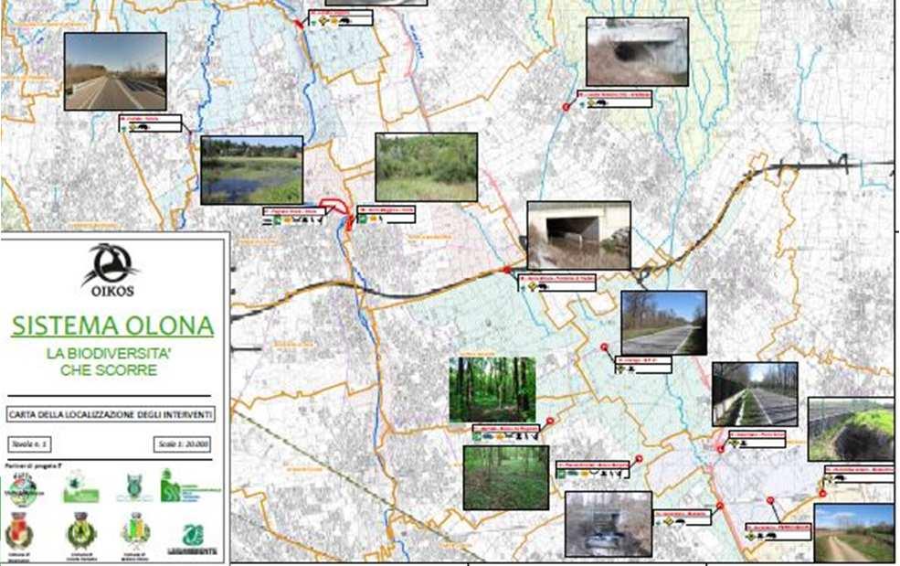 bacino dell Olona grazie con particolare attenzione agli ambienti ripariali, alle zone umide e alla