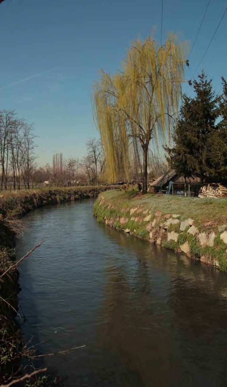 L OLONA ENTRA IN CITTÀ: ricostruzione del corridoio ecologico fluviale nel tessuto metropolitano denso