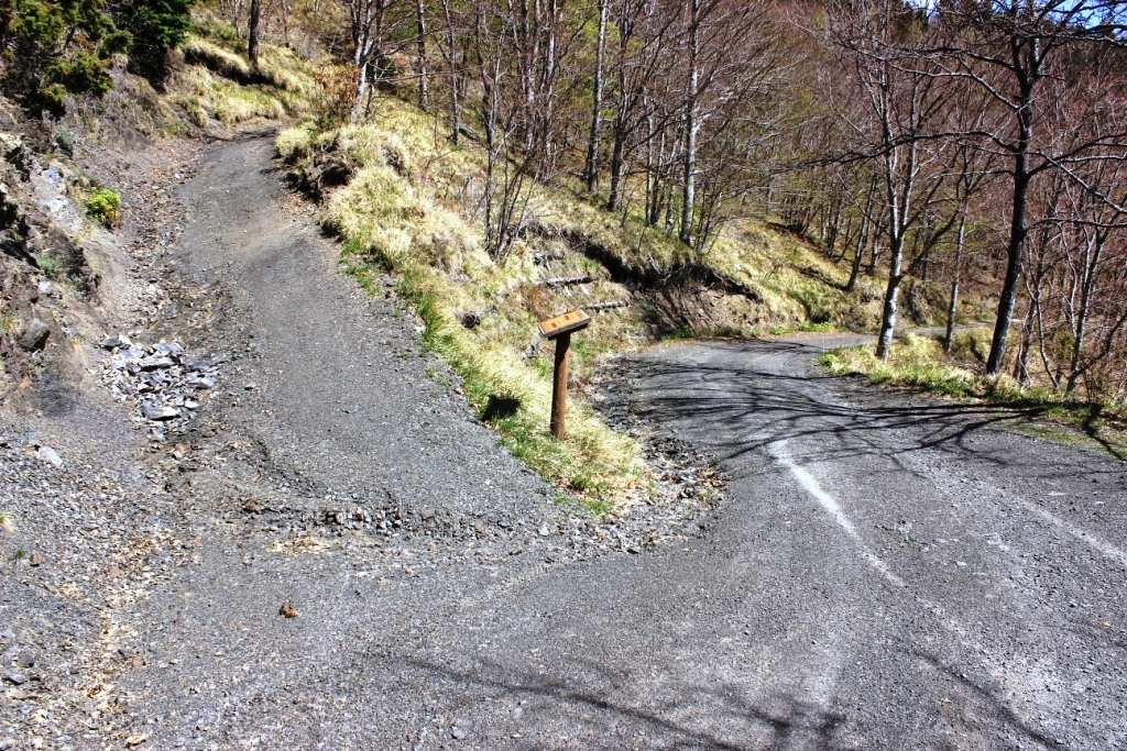 tranquillo Si attraversa un fitto bosco e, solo in un paio di punti, il