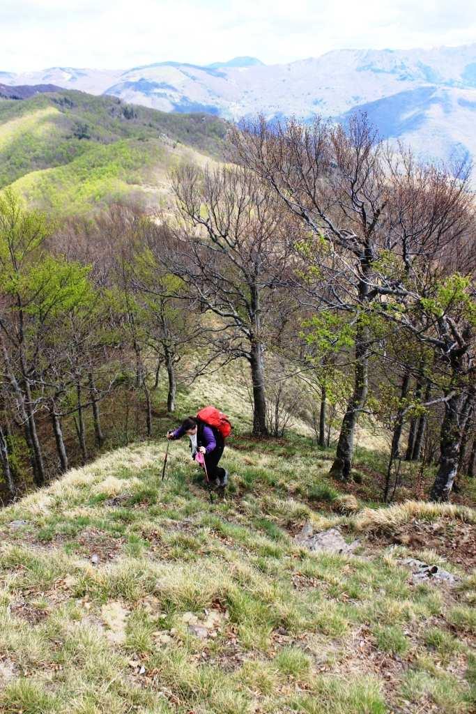 Qui, una traccia più marcata, permette in breve di