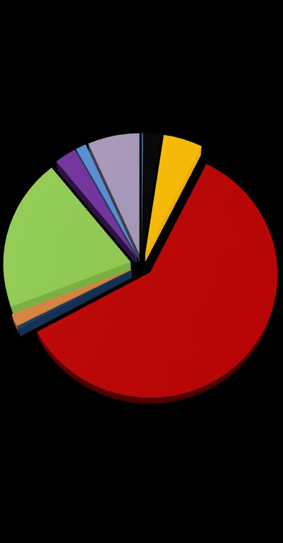 EMPOWERMENT DELLA DONNA Sud Sudan 3,88% Ciad 0,79% Burkina Faso 0,10% Filippine 1,28% Repubblica Democratica del Congo 2,93% Marocco 2% Il 58,2% dei fondi destinati agli