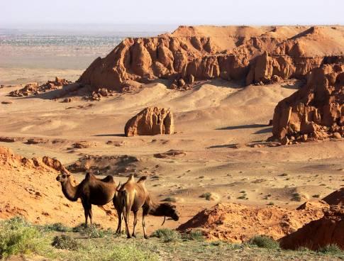 9 giorno / Ongiin Khiid Bayanzag Gobi meridionale (le rupi fiammeggianti)(circa 220 km) Dopo la prima colazione partenza verso sud, il territorio diventa progressivamente desertico fino ad arrivare a