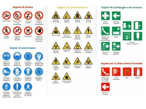 di protezione individuale messi a loro disposizione e in caso di persistenza della inosservanza, informare i loro superiori diretti b) verificare affinché soltanto i lavoratori che hanno ricevuto