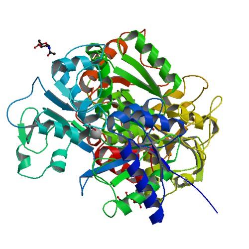 La proteomica costituisce la naturale evoluzione della chimica delle proteine.