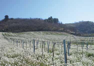 CHI SIAMO AGER: siamo una società di agronomi esperti che operano secondo il principio della sostenibilità delle produzioni agricole.