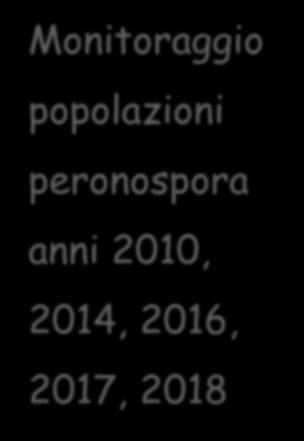 peronospora anni