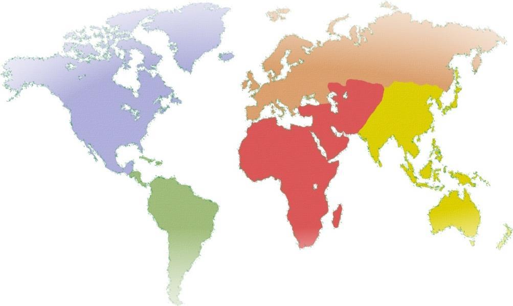 geografica Europa NAFTA 25% 18% (EC +1%) (EC +3%) e per tipologia di