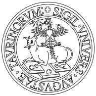 SEZIONE 8-8.1 Generalità... 2 8.2 Monitoraggi e misurazioni (UNI EN ISO 8.2)... 2 8.2.1 Soddisfazione del Cliente (UNI EN ISO 8.2.1)... 2 8.2.2 Audit interno (UNI EN ISO 8.2.2)... 4 8.2.3 Monitoraggio e misurazione dei processi (UNI EN ISO 8.