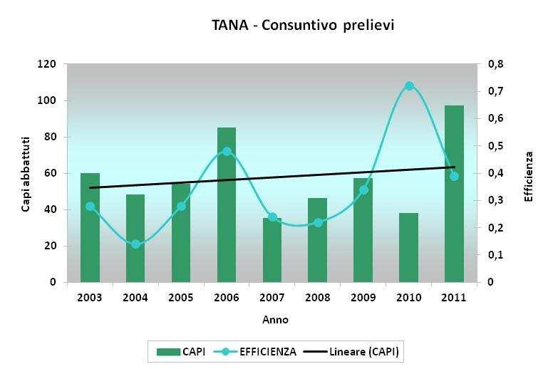 FIG. 11 - Serie storica dei prelievi realizzati e dell efficacia degli interventi in tana e di