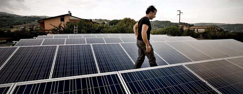 IMPIANTO FOTOVOLTAICO: Nell ottica della sostenibilità ambientale, in aggiunta all uso in cantina di bottiglie di vetro più leggero e cartoni prodotti con carta