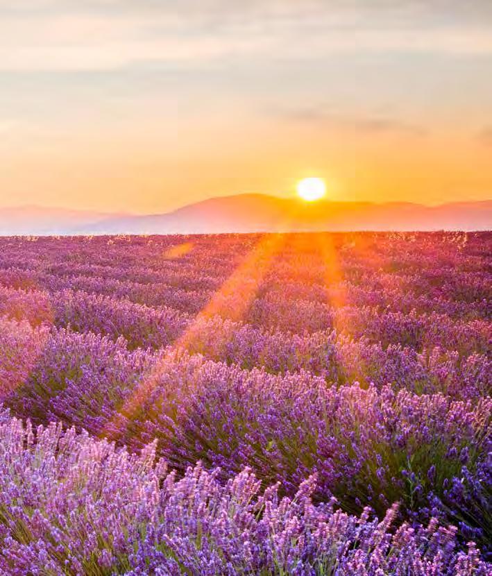 La bella primavera è arrivata, e quando la natura riprende la sua