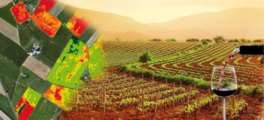 Il ruolo dell agronomo nella Viticoltura di Precisione (VP) Sceglie gli strumenti di indagine Elabora le mappe di vigore con i software GIS Esegue controlli agronomici e raccoglie i dati in campo