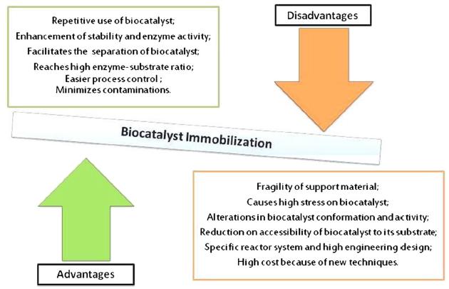 BIOCATALIZZATORI