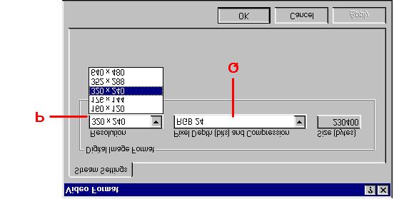 3. Cliccare su Options. 4. Selezionare Video Format. Apparirà sullo schermo la figura 29. Vedere la tabella qui sotto per la descrizione delle diverse funzioni.