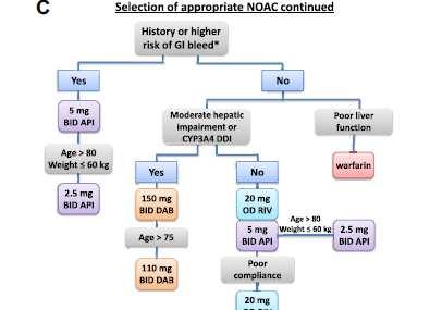 characteristics on drug pharmacokinetics