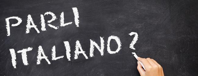 Comunicazione della madrelingua La comunicazione nella madrelingua è la capacità di manifestare e decodificare concetti, idee, sentimenti,