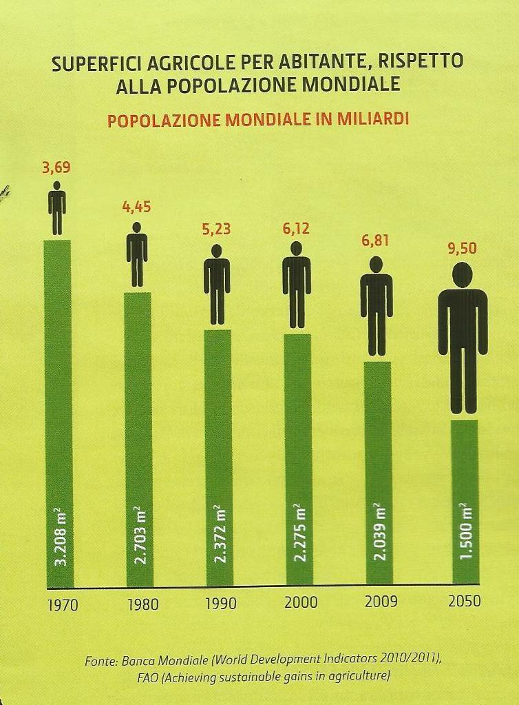 La sfida del futuro DISPONIBILITA DI TERRENO COLTIVABILE PRO CAPITE 2000 METRI QUADRI (circa 3 pertiche mil.