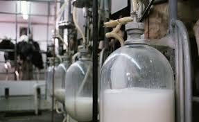 CONTROLLI La produzione viene assicurata da 5205 allevamenti registrati in banca dati regionale per la produzione latte di queste ai fini della verifica dei dati di produzione si segnala che 4892