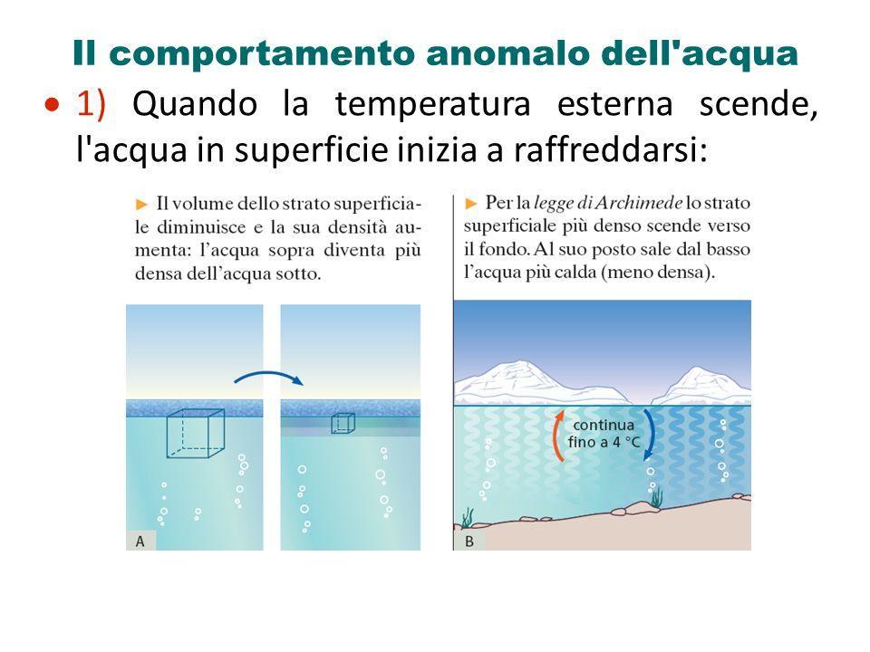 Il comportamento