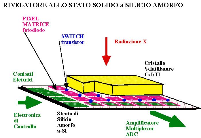 RIDOTTO RISPETTO A Gd2O2S cristalli aghiformi diametro 6-10 micron riduzione diffusione laterale luce