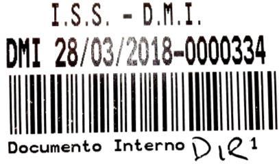 NIC - DMI Istituto Superiore di Sanità Rapporto N.