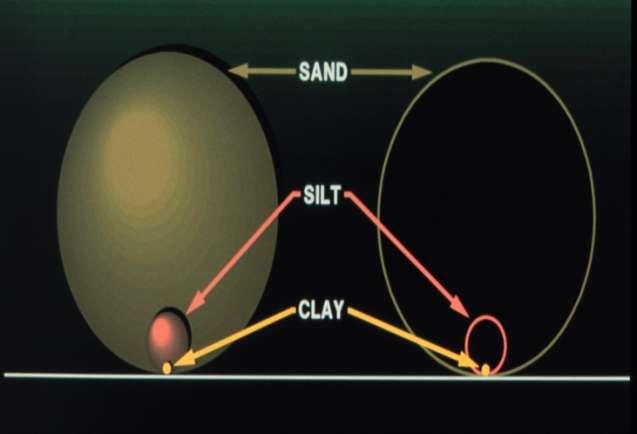 LA TESSITURA Indica la percentuale in peso delle diverse classi granulometriche (sabbia, limo, argilla) nella terra fine (Ø < 2mm).