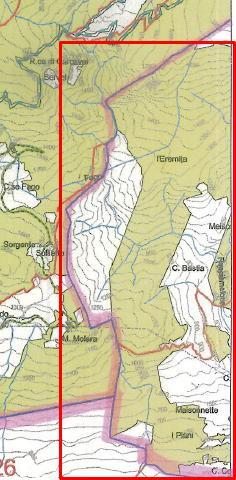COMUNE DI BUSSOLENO (Fonte: estratto pdf delle carta delle compartimentazioni dell area forestale n. 29, tavole 1 e 2, http://www.sistemapiemonte.