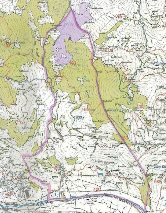 COMUNE DI CAPRIE (Fonte: estratto pdf delle carta delle compartimentazioni dell area forestale n. 29, tavola 3, http://www.sistemapiemonte.