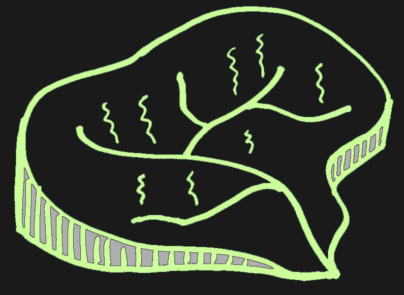 Modelli di Formazione dell Onda di Piena q x, Q OBIETTIVO: Ricosruzione dell idrogramma di piena Q() alla sezione di chiusura, daa la disribuzione q(x,) delle precipiazioni efficaci (deflussi