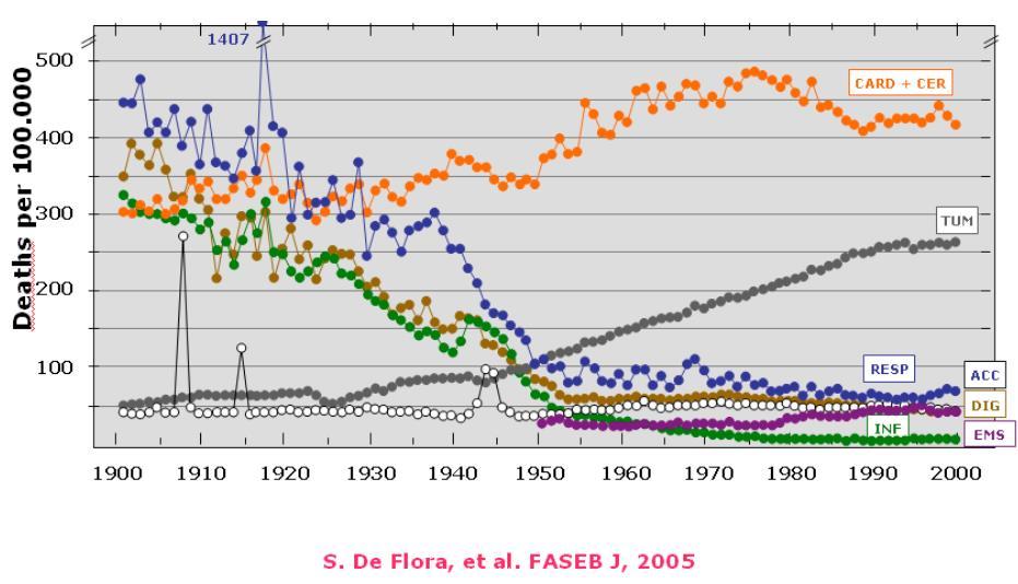 Mortality rates (crude data) in Italy from 1901 to 2000 Infectious and parasitic diseases (INF), malignant tumors (TUM), cardiovascular