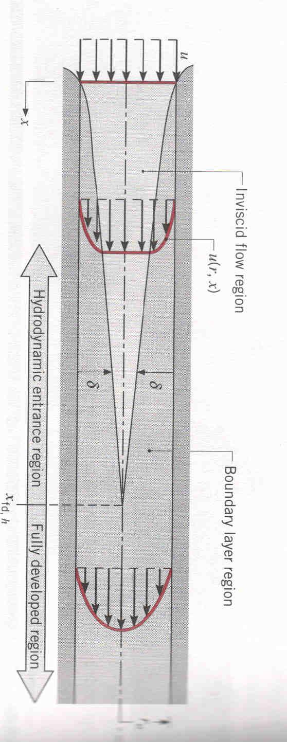 FLUSSO INTERNO Un flusso interno come quello che passare nel piping di un impianto è caratterizzato dall essere confinato da una superficie.